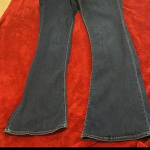 AE High rise flare leg artist jean 14L